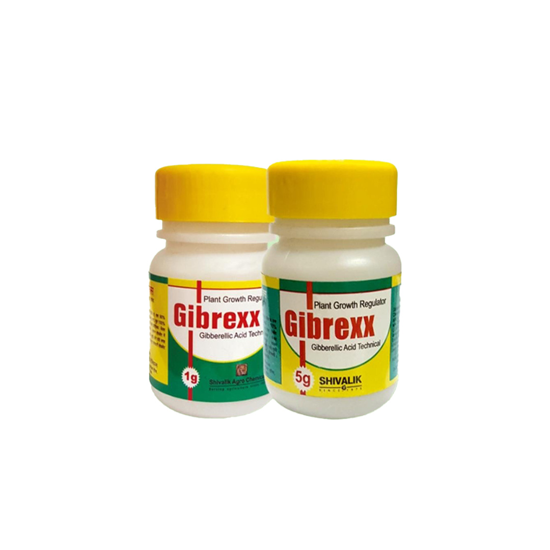 Shivalik Gibrexx (Gibberellic Acid Technical)